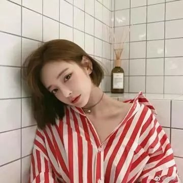 老虎的学徒 海报