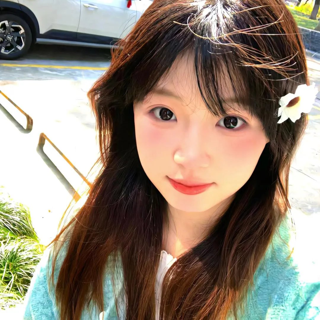 迷失在珠穆朗玛 海报